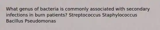 What genus of bacteria is commonly associated with secondary infections in burn patients? Streptococcus Staphylococcus Bacillus Pseudomonas