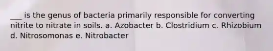 ___ is the genus of bacteria primarily responsible for converting nitrite to nitrate in soils. a. Azobacter b. Clostridium c. Rhizobium d. Nitrosomonas e. Nitrobacter