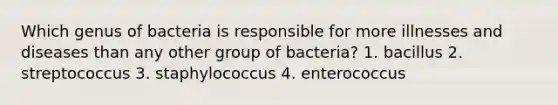 Which genus of bacteria is responsible for more illnesses and diseases than any other group of bacteria? 1. bacillus 2. streptococcus 3. staphylococcus 4. enterococcus