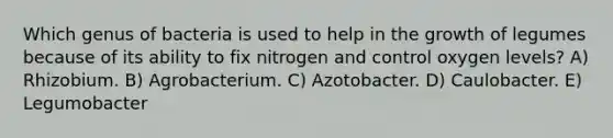 Which genus of bacteria is used to help in the growth of legumes because of its ability to fix nitrogen and control oxygen levels? A) Rhizobium. B) Agrobacterium. C) Azotobacter. D) Caulobacter. E) Legumobacter