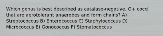 Which genus is best described as catalase-negative, G+ cocci that are aerotolerant anaerobes and form chains? A) Streptococcus B) Enterococcus C) Staphylococcus D) Micrococcus E) Gonococcus F) Stomatococcus