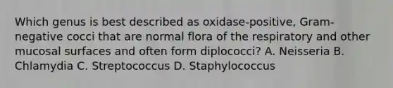 Which genus is best described as oxidase-positive, Gram-negative cocci that are normal flora of the respiratory and other mucosal surfaces and often form diplococci? A. Neisseria B. Chlamydia C. Streptococcus D. Staphylococcus