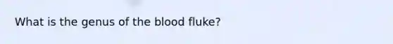 What is the genus of the blood fluke?