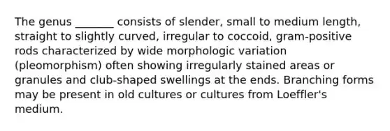 The genus _______ consists of slender, small to medium length, straight to slightly curved, irregular to coccoid, gram-positive rods characterized by wide morphologic variation (pleomorphism) often showing irregularly stained areas or granules and club-shaped swellings at the ends. Branching forms may be present in old cultures or cultures from Loeffler's medium.