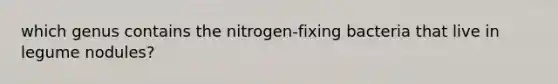 which genus contains the nitrogen-fixing bacteria that live in legume nodules?