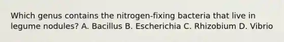 Which genus contains the nitrogen-fixing bacteria that live in legume nodules? A. Bacillus B. Escherichia C. Rhizobium D. Vibrio