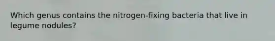 Which genus contains the nitrogen-fixing bacteria that live in legume nodules?