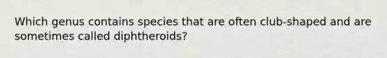 Which genus contains species that are often club-shaped and are sometimes called diphtheroids?