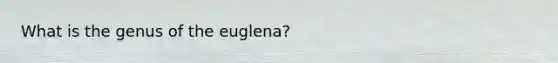 What is the genus of the euglena?