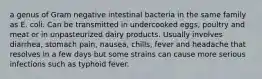 a genus of Gram negative intestinal bacteria in the same family as E. coli. Can be transmitted in undercooked eggs, poultry and meat or in unpasteurized dairy products. Usually involves diarrhea, stomach pain, nausea, chills, fever and headache that resolves in a few days but some strains can cause more serious infections such as typhoid fever.