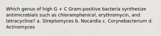 Which genus of high G + C Gram-positive bacteria synthesize antimicrobials such as chloramphenicol, erythromycin, and tetracycline? a. Streptomyces b. Nocardia c. Corynebacterium d. Actinomyces