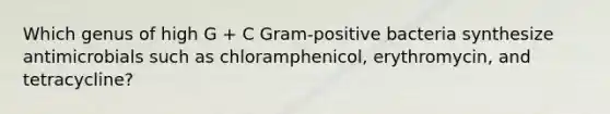 Which genus of high G + C Gram-positive bacteria synthesize antimicrobials such as chloramphenicol, erythromycin, and tetracycline?