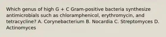 Which genus of high G + C Gram-positive bacteria synthesize antimicrobials such as chloramphenicol, erythromycin, and tetracycline? A. Corynebacterium B. Nocardia C. Streptomyces D. Actinomyces