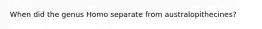 When did the genus Homo separate from australopithecines?