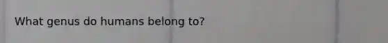 What genus do humans belong to?