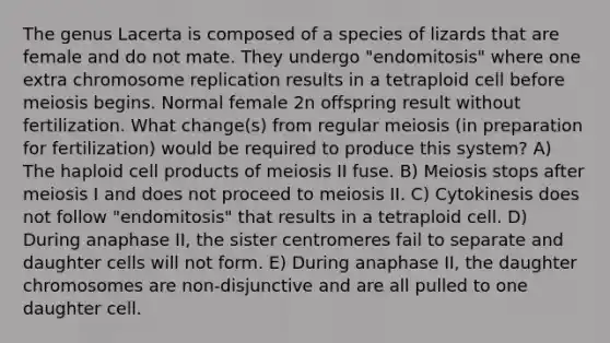 The genus Lacerta is composed of a species of lizards that are female and do not mate. They undergo "endomitosis" where one extra chromosome replication results in a tetraploid cell before meiosis begins. Normal female 2n offspring result without fertilization. What change(s) from regular meiosis (in preparation for fertilization) would be required to produce this system? A) The haploid cell products of meiosis II fuse. B) Meiosis stops after meiosis I and does not proceed to meiosis II. C) Cytokinesis does not follow "endomitosis" that results in a tetraploid cell. D) During anaphase II, the sister centromeres fail to separate and daughter cells will not form. E) During anaphase II, the daughter chromosomes are non-disjunctive and are all pulled to one daughter cell.