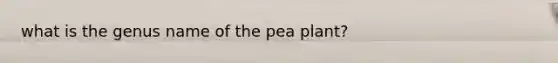 what is the genus name of the pea plant?