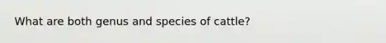 What are both genus and species of cattle?