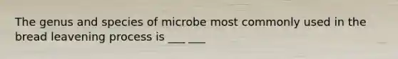 The genus and species of microbe most commonly used in the bread leavening process is ___ ___