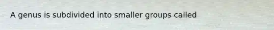 A genus is subdivided into smaller groups called