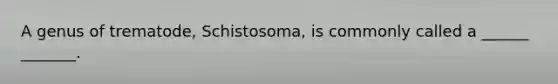 A genus of trematode, Schistosoma, is commonly called a ______ _______.