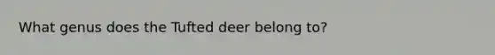 What genus does the Tufted deer belong to?