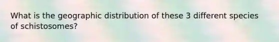 What is the geographic distribution of these 3 different species of schistosomes?