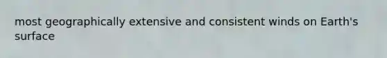 most geographically extensive and consistent winds on Earth's surface