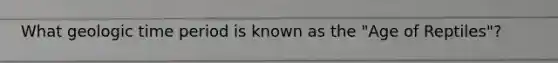 What geologic time period is known as the "Age of Reptiles"?