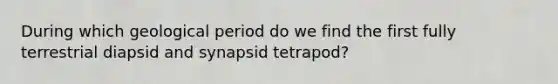 During which geological period do we find the first fully terrestrial diapsid and synapsid tetrapod?