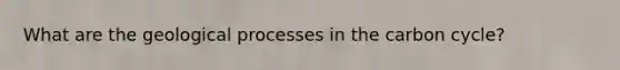 What are the geological processes in the carbon cycle?