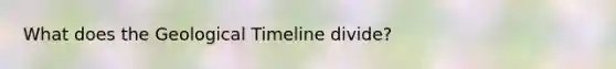 What does the Geological Timeline divide?