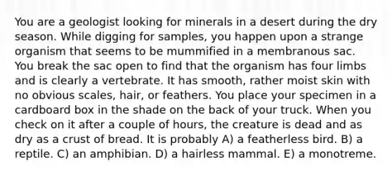 You are a geologist looking for minerals in a desert during the dry season. While digging for samples, you happen upon a strange organism that seems to be mummified in a membranous sac. You break the sac open to find that the organism has four limbs and is clearly a vertebrate. It has smooth, rather moist skin with no obvious scales, hair, or feathers. You place your specimen in a cardboard box in the shade on the back of your truck. When you check on it after a couple of hours, the creature is dead and as dry as a crust of bread. It is probably A) a featherless bird. B) a reptile. C) an amphibian. D) a hairless mammal. E) a monotreme.