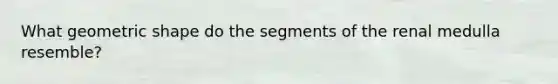 What geometric shape do the segments of the renal medulla resemble?