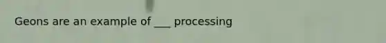 Geons are an example of ___ processing