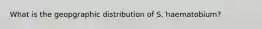 What is the geopgraphic distribution of S. haematobium?