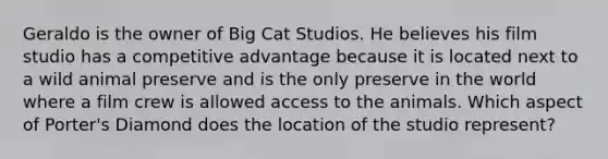 Geraldo is the owner of Big Cat Studios. He believes his film studio has a competitive advantage because it is located next to a wild animal preserve and is the only preserve in the world where a film crew is allowed access to the animals. Which aspect of Porter's Diamond does the location of the studio represent?