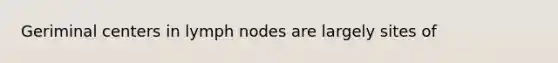 Geriminal centers in lymph nodes are largely sites of