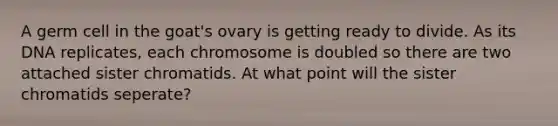 A germ cell in the goat's ovary is getting ready to divide. As its DNA replicates, each chromosome is doubled so there are two attached sister chromatids. At what point will the sister chromatids seperate?