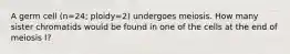 A germ cell (n=24; ploidy=2) undergoes meiosis. How many sister chromatids would be found in one of the cells at the end of meiosis I?