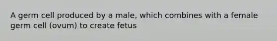 A germ cell produced by a male, which combines with a female germ cell (ovum) to create fetus