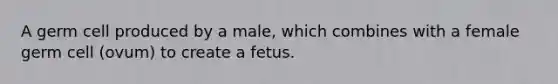 A germ cell produced by a male, which combines with a female germ cell (ovum) to create a fetus.