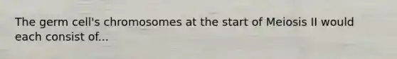 The germ cell's chromosomes at the start of Meiosis II would each consist of...
