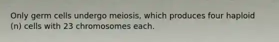 Only germ cells undergo meiosis, which produces four haploid (n) cells with 23 chromosomes each.