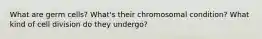 What are germ cells? What's their chromosomal condition? What kind of cell division do they undergo?