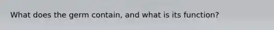 What does the germ contain, and what is its function?