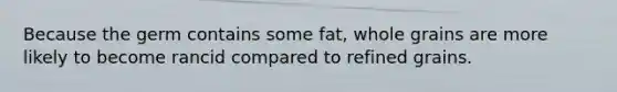 Because the germ contains some fat, whole grains are more likely to become rancid compared to refined grains.