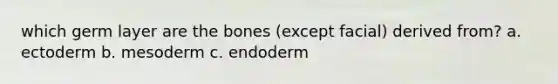 which germ layer are the bones (except facial) derived from? a. ectoderm b. mesoderm c. endoderm