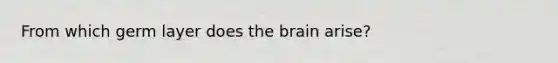 From which germ layer does <a href='https://www.questionai.com/knowledge/kLMtJeqKp6-the-brain' class='anchor-knowledge'>the brain</a> arise?