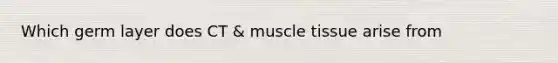 Which germ layer does CT & muscle tissue arise from